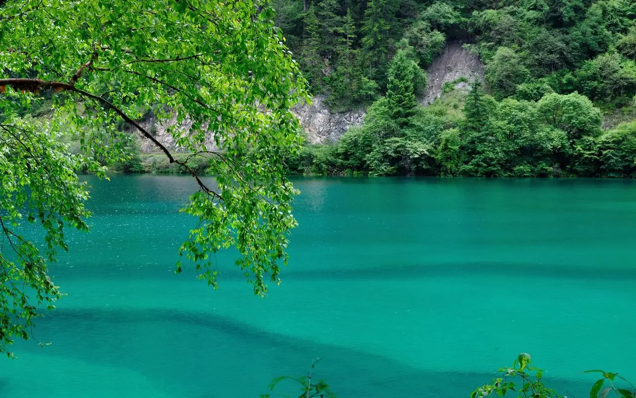科技智能系统智能